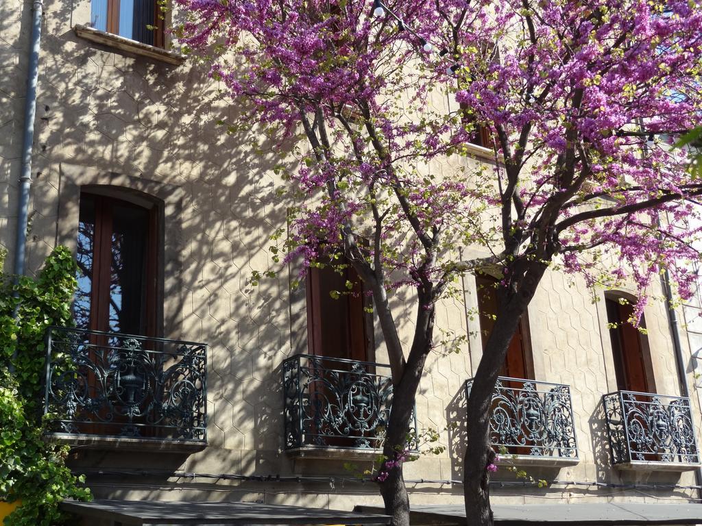 Hotel Les Santolines Cucugnan Exterior foto